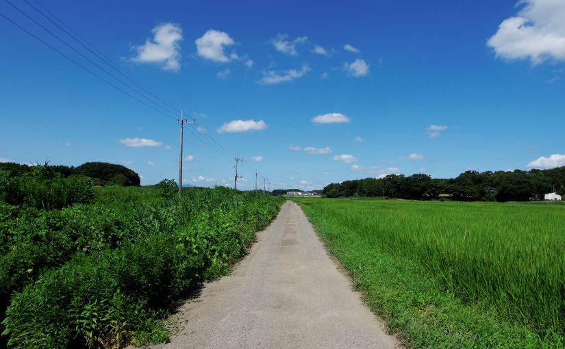 夏の歓声