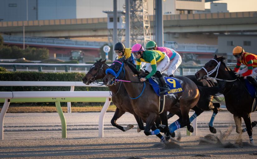 競馬撮影 – 2023年 東京大賞典 (G1)